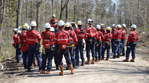 groupe de pompier dans une forêt